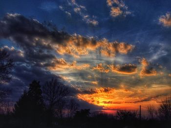 Silhouette trees against sky at sunset