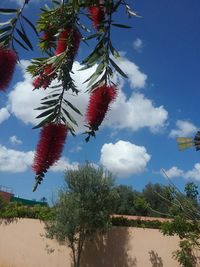 Low angle view of trees against cloudy sky