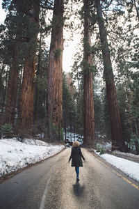 Rear view of man walking on snow covered road in forest