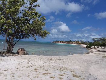 Scenic view of beach against sky