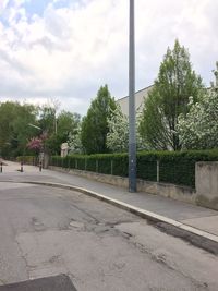 Trees against sky