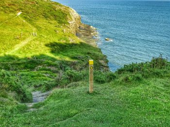 Scenic view of grassy landscape