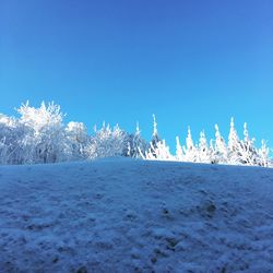 Scenic view of beach against blue sky