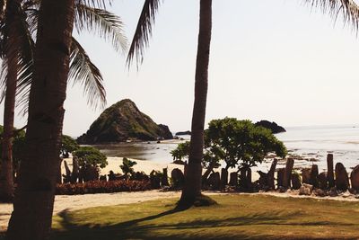 Palm trees on beach