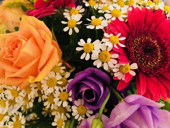 High angle view of multi colored roses