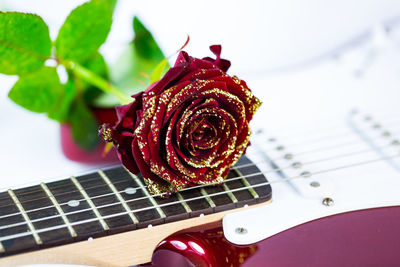 Close-up of flower on guitar