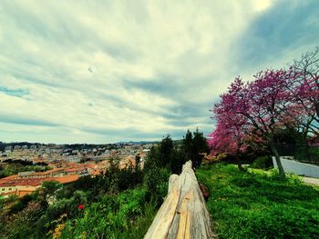 Panoramic view of road amidst trees against sky