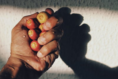 Close-up of hand holding berries