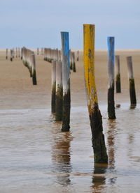 Wooden posts on beach