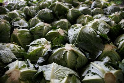 Full frame shot of vegetables