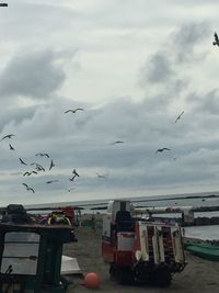 Seagulls flying over beach against sky