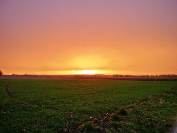 Scenic view of grassy field at sunset