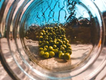 High angle view of pills in glass