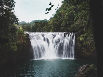 Scenic view of waterfall in forest