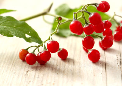 Close-up of berries