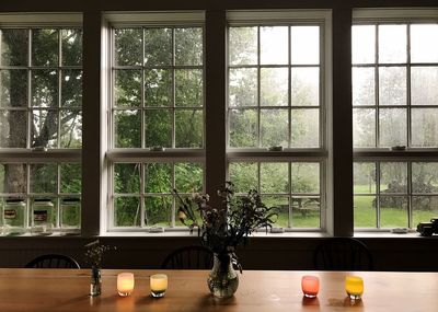 Table and trees seen through home window