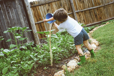 Rear view of boy watering plants at yard