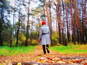 Rear view of man walking in forest