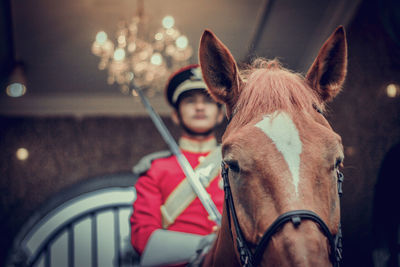 Close-up portrait of a horse