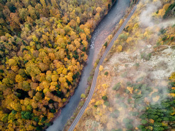 High angle view of road amidst trees during autumn