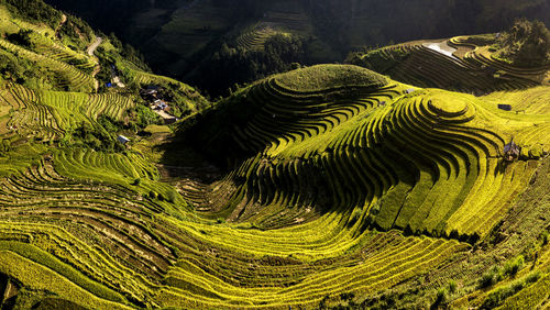 High angle view of green landscape