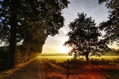 Trees on field against sky during sunrise