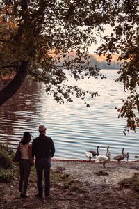 Rear view of friends looking at lake