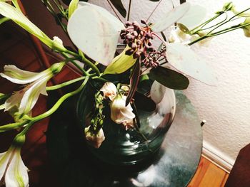 Close-up of cat by flower tree