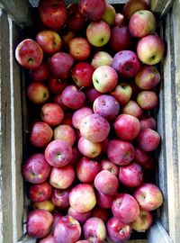 Close-up of fruits for sale in market