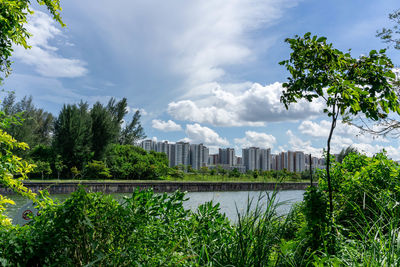 View of trees and buildings against cloudy sky