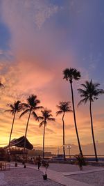 Palm trees on beach against sky during sunset