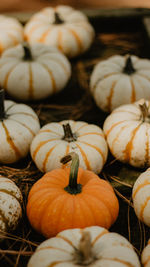 High angle view of pumpkins for sale at market stall