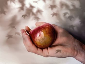 Close-up of hand holding apple