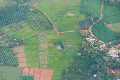 Aerial view of agricultural field