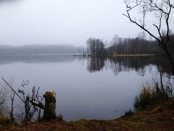 Reflection of trees in calm lake