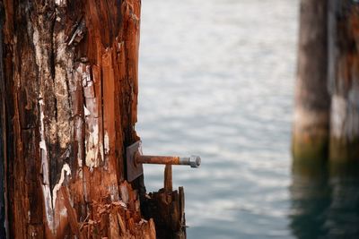 Close-up of rusty metal door