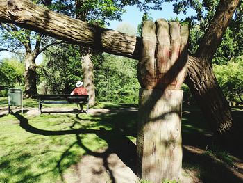 Trees and plants in park