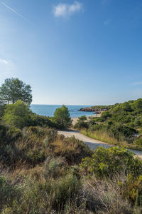 Scenic view of sea against sky