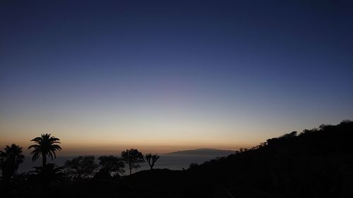 Silhouette trees against clear sky at sunset