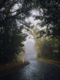 Road amidst trees in forest against sky