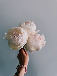 Cropped hand holding flower