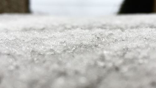 Close-up of frozen leaf