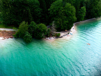 High angle view of trees by sea