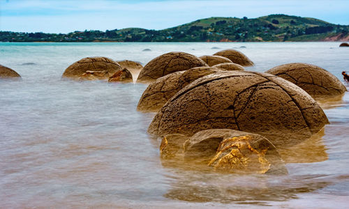 Moeraki boulders - scenic view of sea against sky