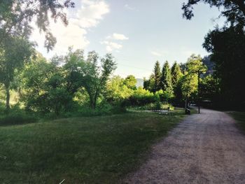 Empty road amidst trees against sky