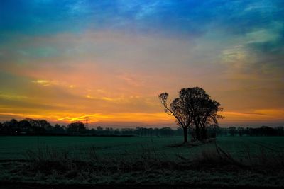 Scenic view of agricultural field against sky at sunset