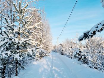 snow