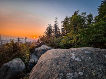 Scenic view of rocks in forest against sky during sunset