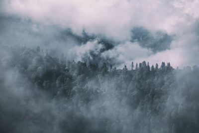 Scenic view of fog covered mountain against sky