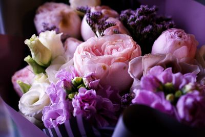 Close-up of pink roses